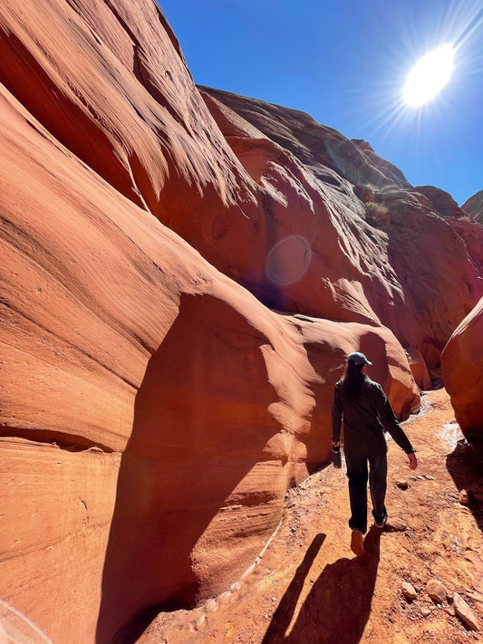 For the Swifties: Which National Park is Taylor Swift's Album Match?