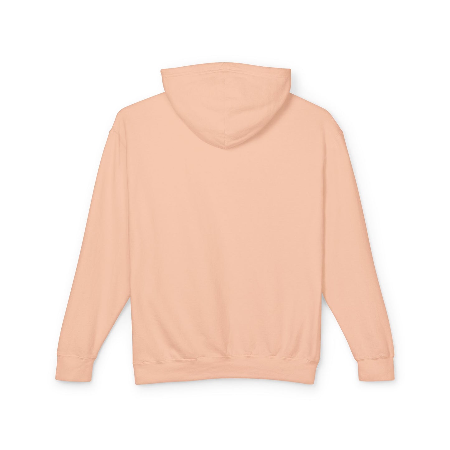 Preserve and Protect National Parks Hoodie - Forever Wild Co.