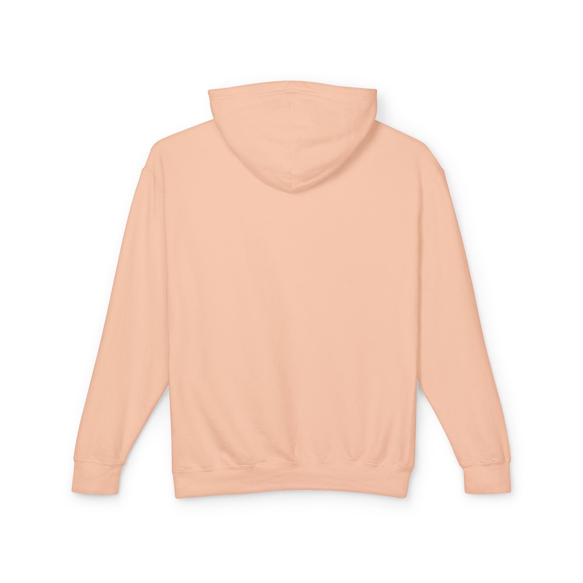 Preserve and Protect National Parks Hoodie - Forever Wild Co.