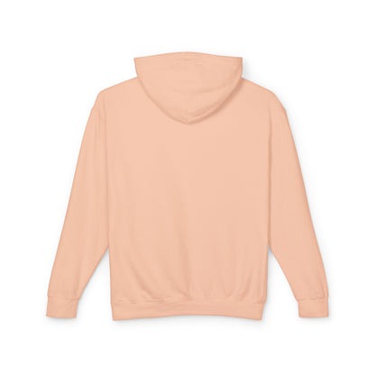 Preserve and Protect National Parks Hoodie - Forever Wild Co.