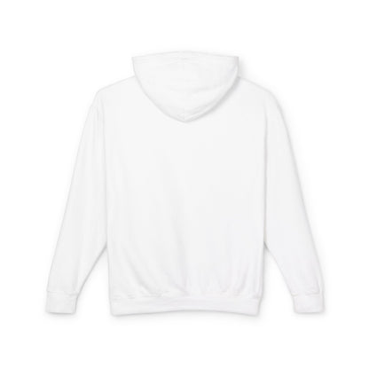 Preserve and Protect National Parks Hoodie - Forever Wild Co.